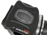 Advanced FLOW Engineering Momentum GT Cold Air Intake (MPN: 51-74108)