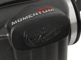 Advanced FLOW Engineering Momentum GT Stage 2 Intake (MPN: 54-74102)