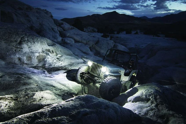 Rigid Lighting A-Series Rock Light Kit (MPN: 400243)