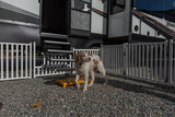 Safety Step Picket Portable Pet Barrier (MPN: P1000)