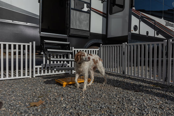 Safety Step Picket Portable Pet Barrier (MPN: P1000)