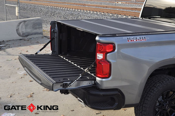 Tailgate Position Adjuster (MPN: 111919)