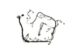 Ford Performance Engine Wiring Harness (MPN: M-12508-M50A)