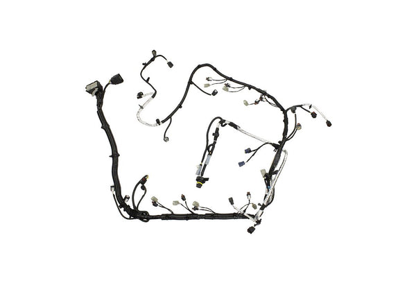 Ford Performance Engine Wiring Harness (MPN: M-12508-M50A)