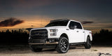 Fuel Off Road D541 Wheel (MPN: D54118909850)