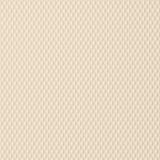 Taco KingStarboard Marine Starboard Sheet (MPN: P14-5012WHA27-1)