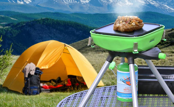 Flame King Propane Grill (MPN: YSNVT-301)
