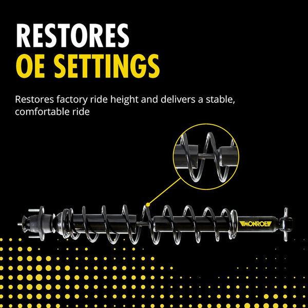 Monroe Suspension Conversion Kit (MPN: 90009C)