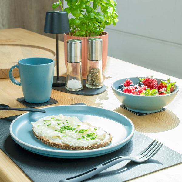 Silwy Magnetic Dish Set (MPN: SYBR-KGS-11-B)