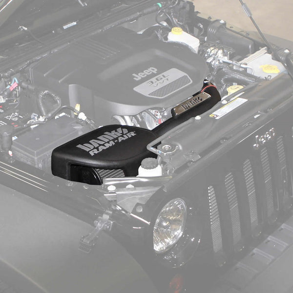 Banks Ram-Air Intake System (MPN: 41837-D)