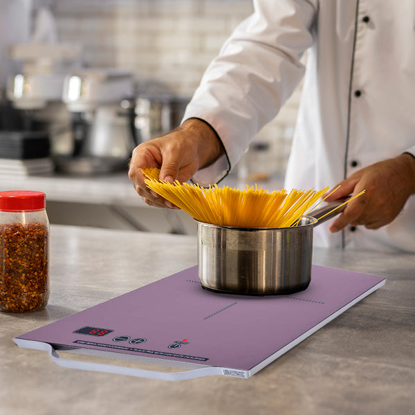 Pinnacle Appliances Induction Cooktop (MPN: PIC 100 LC)