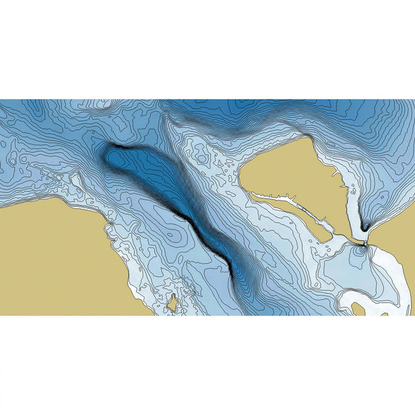 Humminbird LakeMaster Maps (MPN: 601006-1)