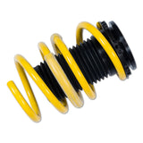 Suspension Techniques Adjustable Lowering Springs (MPN: 27350036)