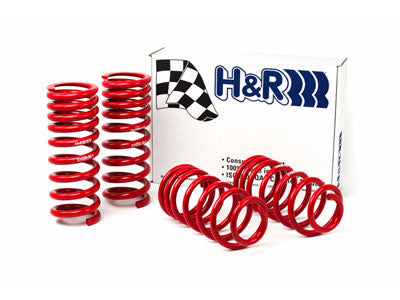H&R Springs Race Spring Lowering Kit (MPN: 51690-88)