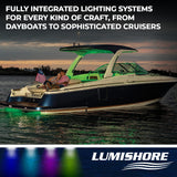 Lumishore Light Control Module (MPN: 010-04438-00)