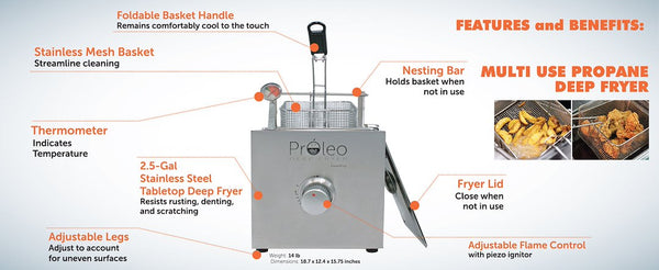 Flame King Portable Deep Fryer (MPN: PROLEO)