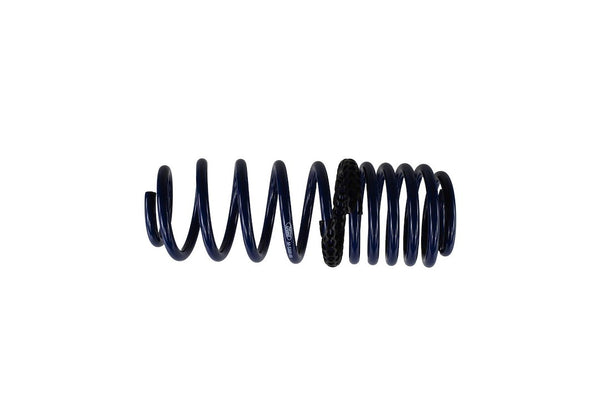 Ford Performance Coil Spring Set (MPN: M-5300-KA)