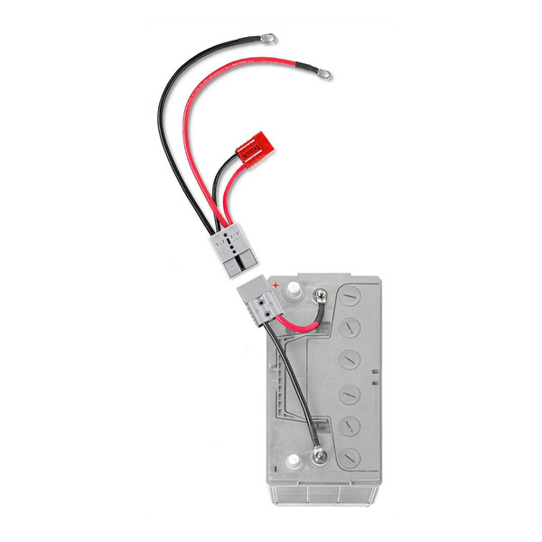 Battery Connection Harness for Outboard Motors (MPN: RCE12VBM6K)