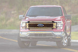 Morimoto XBG Grille For Ford F-150 (MPN: XBG23)