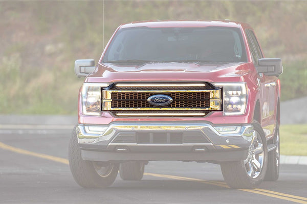 Morimoto XBG Grille For Ford F-150 (MPN: XBG23)
