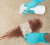 UnDuzit Chemicals Carpet Cleaner (MPN: 124599)