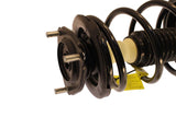 KYB Strut-Plus Strut Assembly (MPN: SR4146)