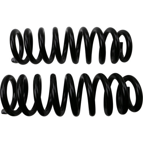 Moog Chassis Coil Spring Set (MPN: 81726)