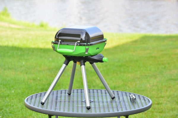 Flame King Propane Grill (MPN: YSNVT-301)