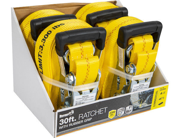 Buyers Products Cargo Tie Down Strap with Ratchet (MPN: 5483000CC)