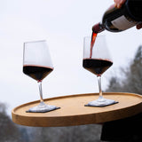 Silwy Magnetic Drinking Glass Set (MPN: KO-WI-CL-2)