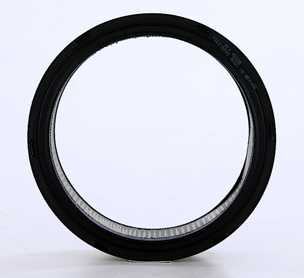 Wix Filters Air Filter (MPN: 46036)