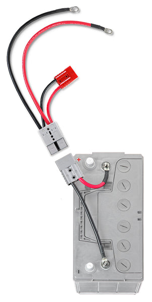 Battery Connection Harness for Outboard Motors (MPN: RCE12VBM6K)