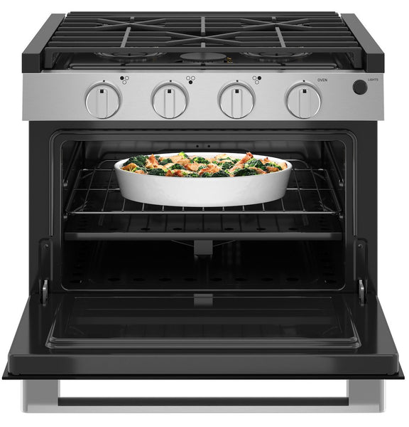 GE Profile Drop-In Cooktop Range (MPN: PLD617RWSS)