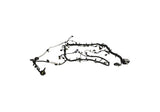 Ford Performance Engine Wiring Harness (MPN: M-12508-M50A)