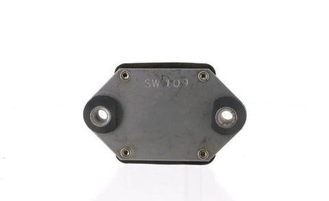 A4RSW109