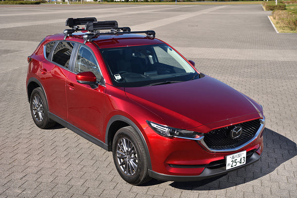 INNO Ski Carrier Roof Rack Kit (MPN: INA952)