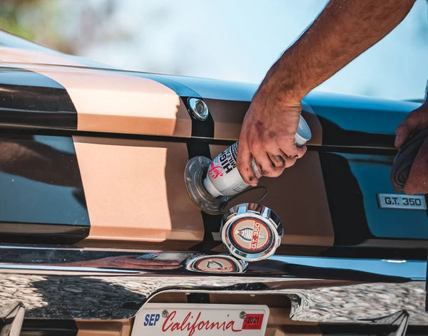 Sea Foam High Mileage Fuel System Cleaner (MPN: HM16)