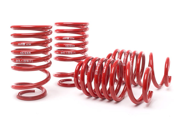 H&R Springs RSS Coil Overs (MPN: 29170CS3)