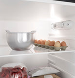 GE Profile Dual Compartment Refrigerator (MPN: PPV10R5YRBB)