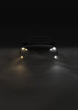 Hella LED Retrofit Fog Light Bulb (MPN: 226971551)