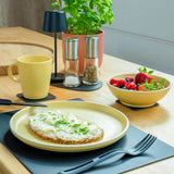 Silwy Magnetic Dish Set (MPN: SYBR-KGS-11-Y)