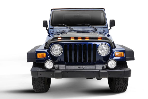 Auto Ventshade Aeroskin LightShield Pro Hood Protector (MPN: 953091)
