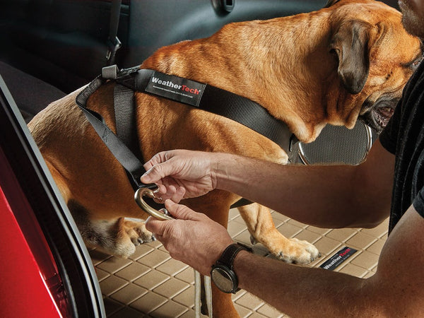 WeatherTech Pet Harness (MPN: 84PH3749BK)