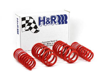 H&R Race Springs (MPN: 29996-1)