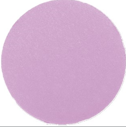 SEM Performance Abrasives Sanding Disc (MPN: SA601500)