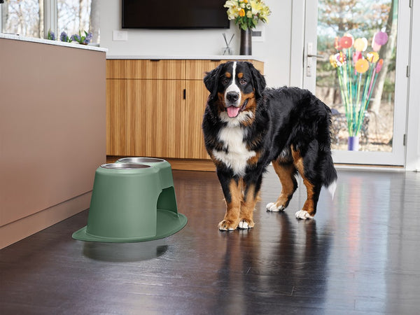 Weathertech Double Low Pet Feeding System (MPN: DHC3208HGHG)