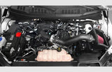 K & N Filters Cold Air Intake System (MPN: 57-2596)