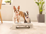 WeatherTech Double High Pet Feeding System (MPN: DHC3208TNTN)