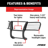 Aries Grille Guard (MPN: 3059)