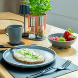 Silwy Magnetic Dish Set (MPN: SYBR-KGS-11-A)